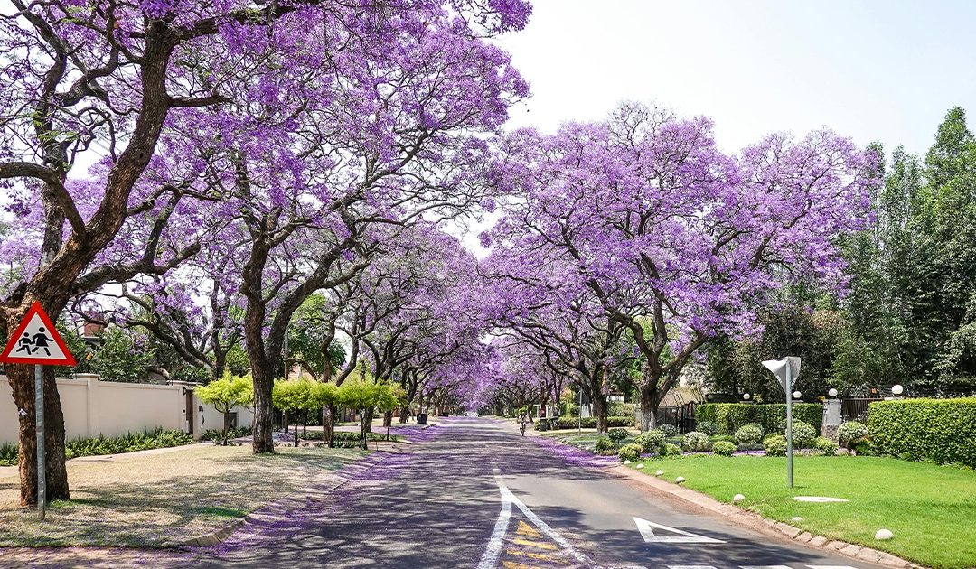 From the Principal’s desk – 2nd February