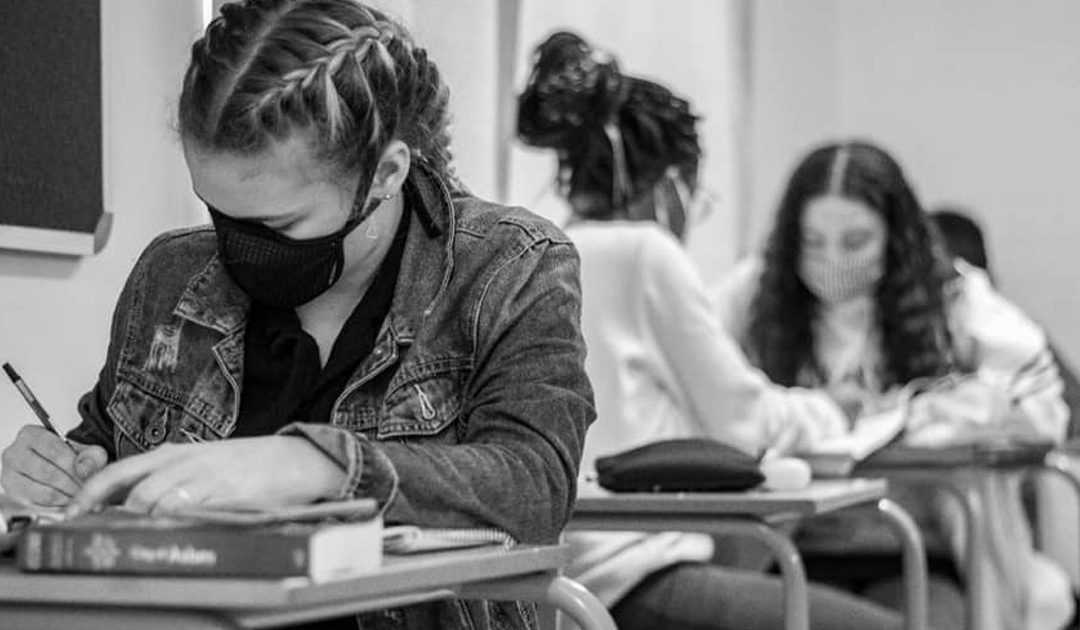 Launching the November 2020 exams
