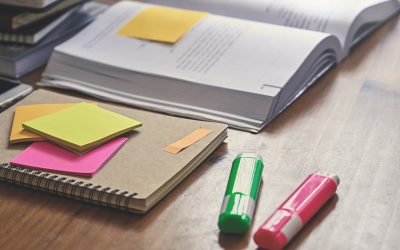 Term 3 and assignments (2020)