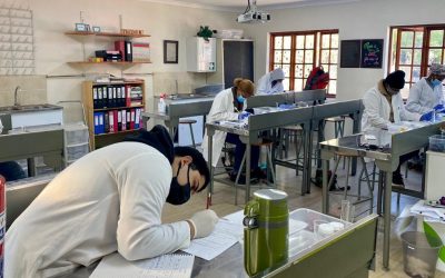 Winter school happiness: final practicals before holidays