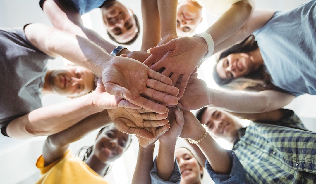 2017 Brooklyn prospectus