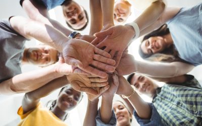 2017 Brooklyn prospectus